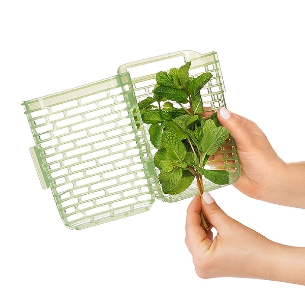 GreenSaver Herb Keeper - Small F8
