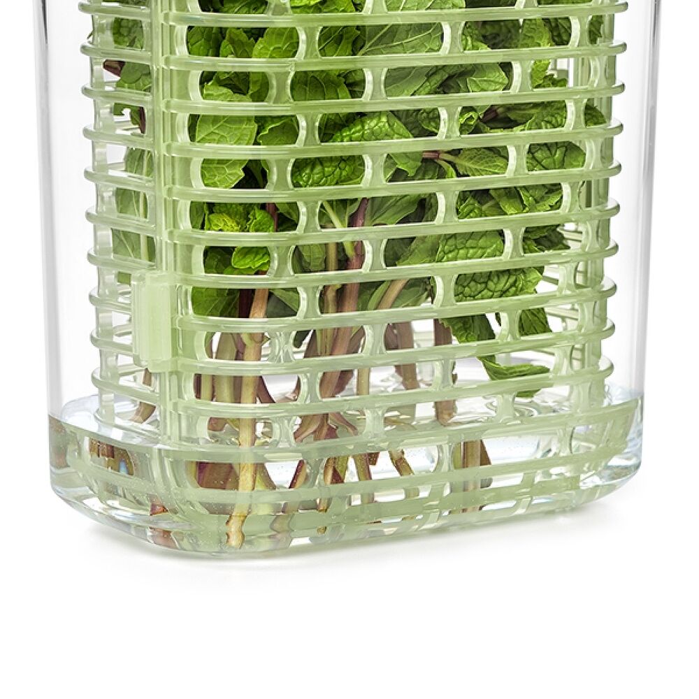 GreenSaver Herb Keeper - Small F8
