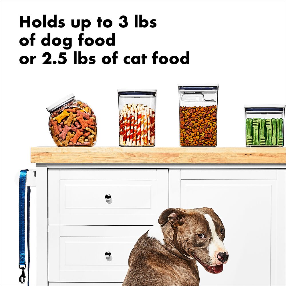 OXO Good Grips Pet POP Container – 3.3 Qt/3.1 L D9