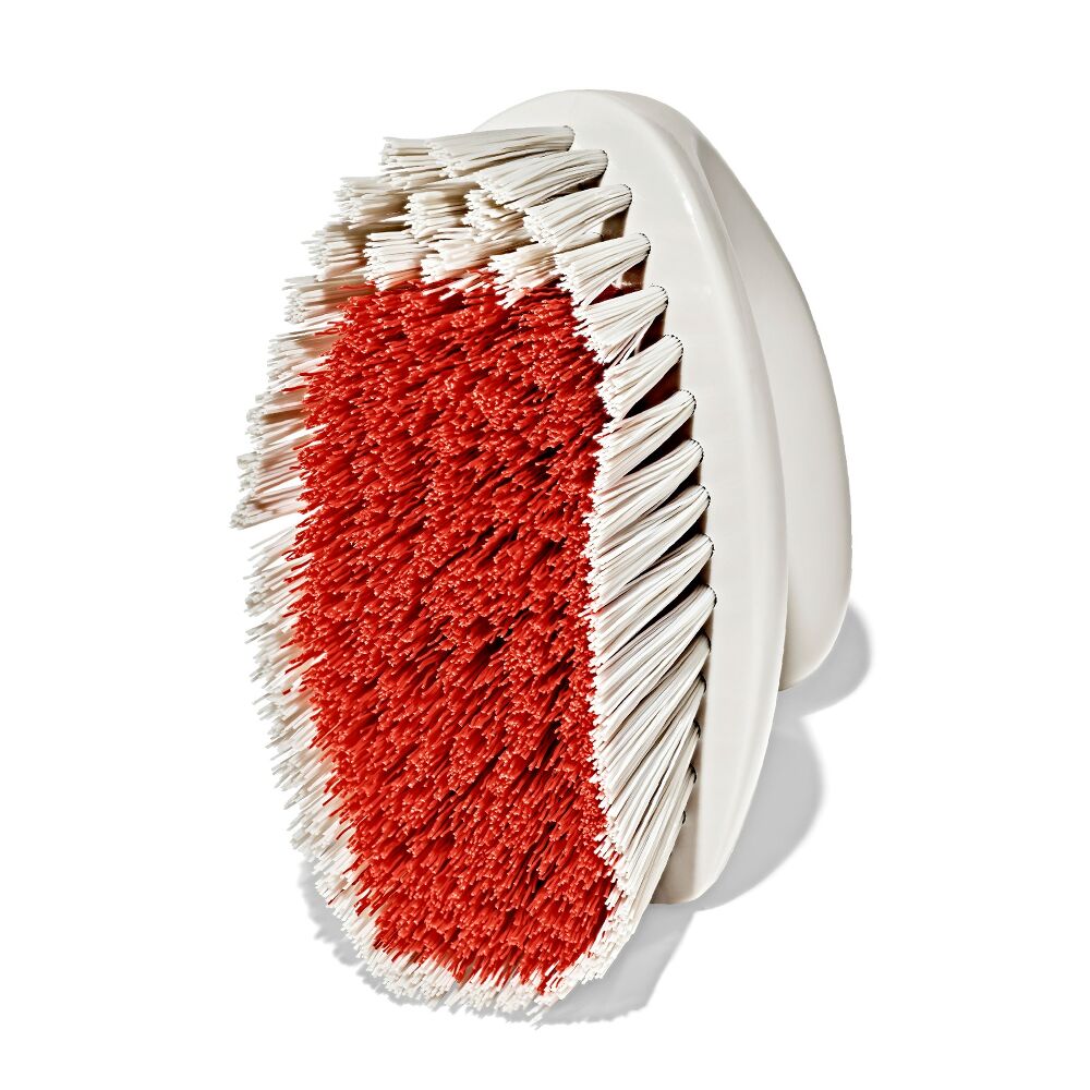 All-Purpose Scrub Brush 2-Pack U5