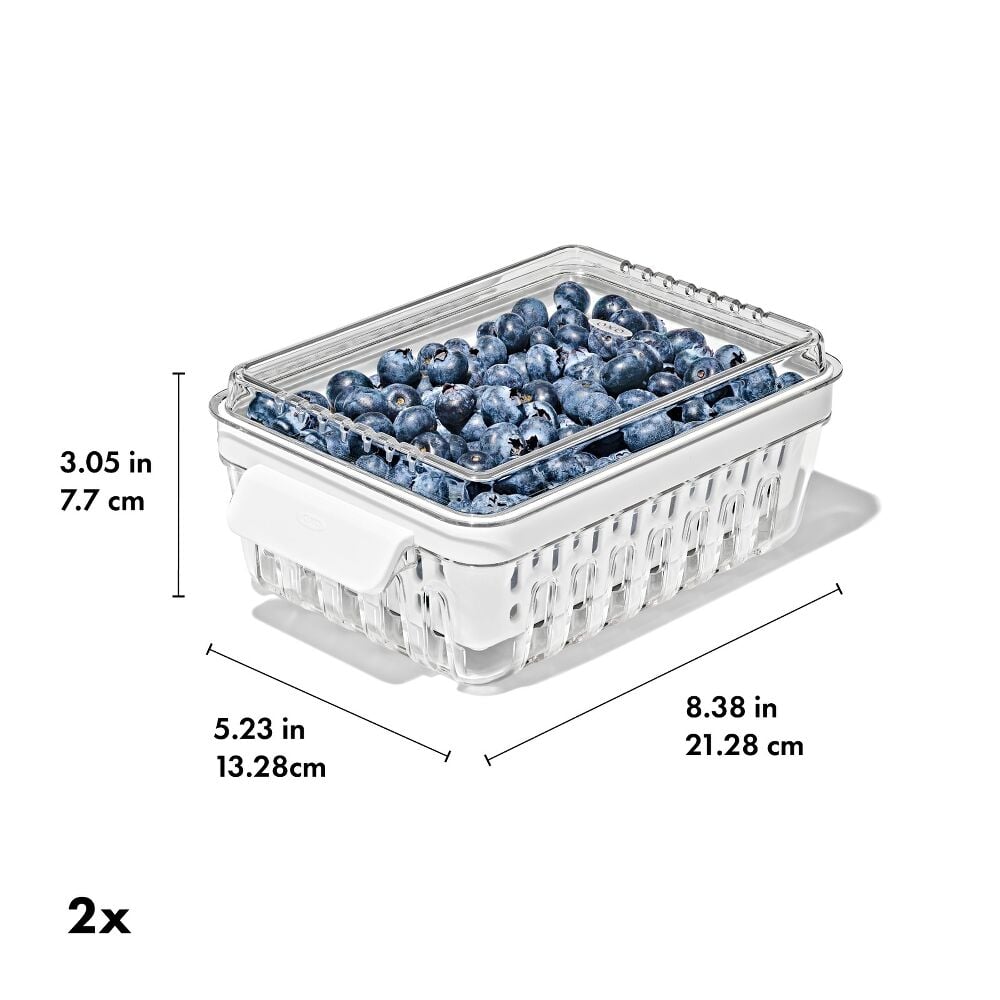 Produce Saver - Berry Keeper 2-Piece Set T6