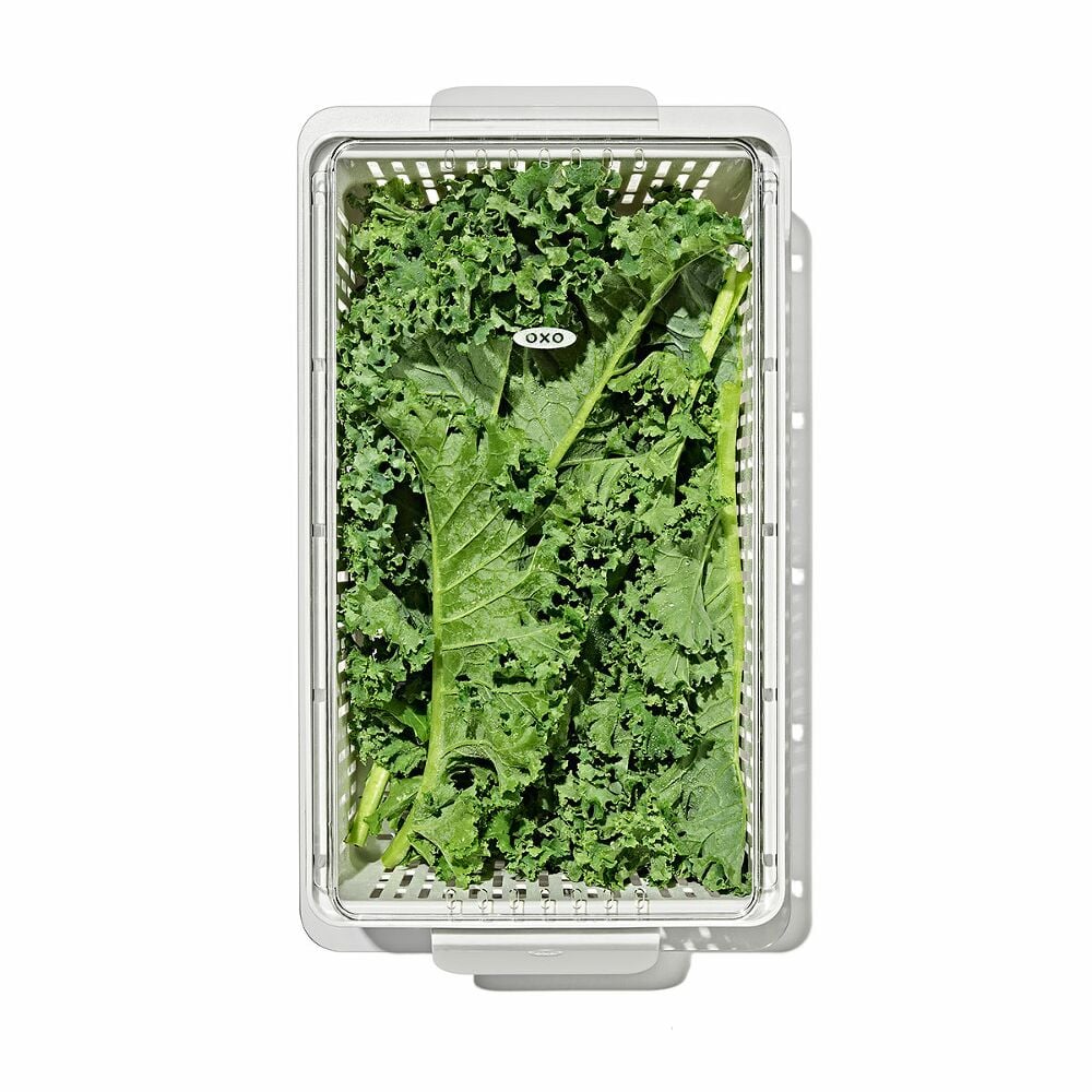 Produce Saver - Medium Bin K6