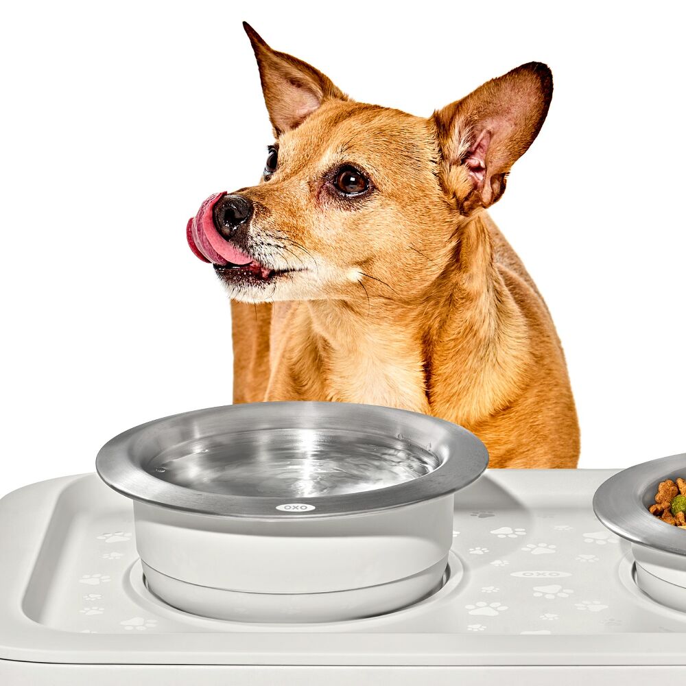 OXO Pet Nonslip Bowl - Medium, 2 Cups / 480 mL N0