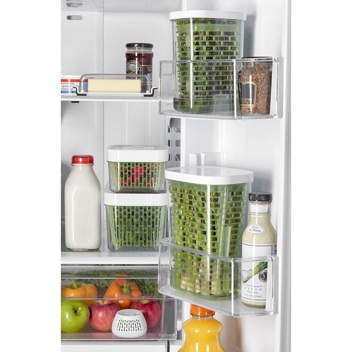 GreenSaver Standing Crisper Insert - 1 Pc T9