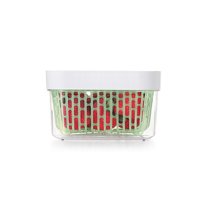 GreenSaver Produce Keeper (1.6 Qt) C9