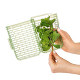 GreenSaver Herb Keeper - Small F8