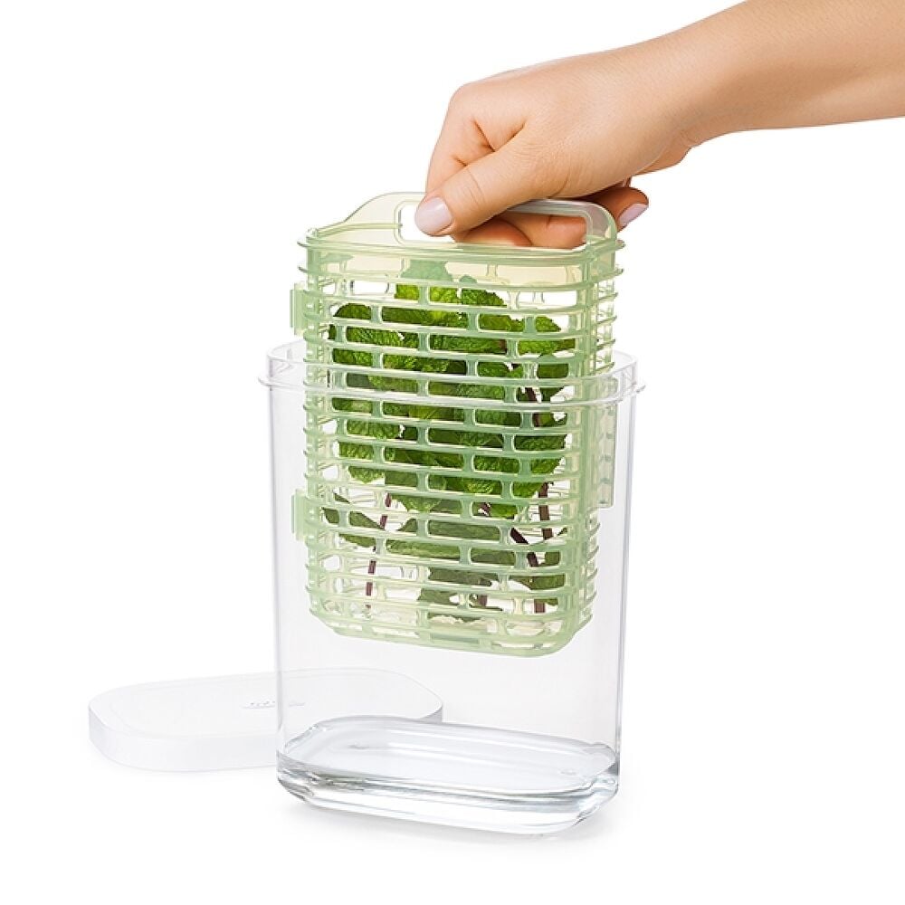GreenSaver Herb Keeper - Small F8