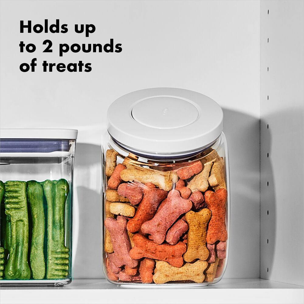 OXO Good Grips Pet POP Container – 3.0 Qt/2.8 L D4