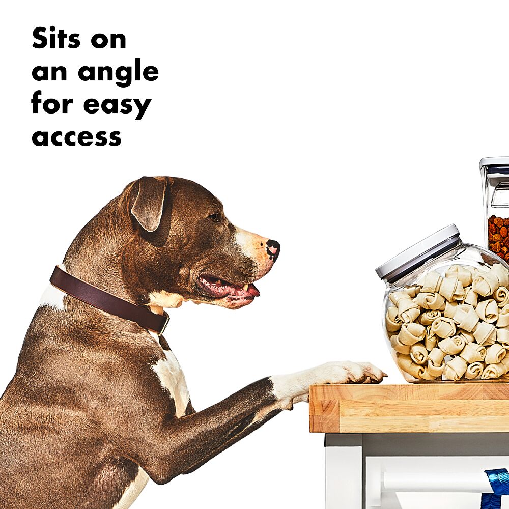 OXO Good Grips Pet POP Container – 3.0 Qt/2.8 L D4