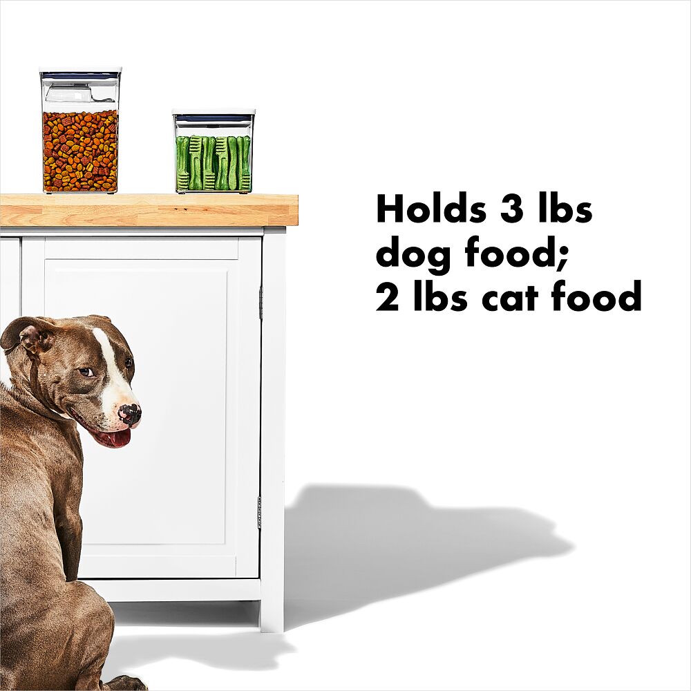 OXO Good Grips Pet POP Container – 2.8 Qt/2.6 L C0