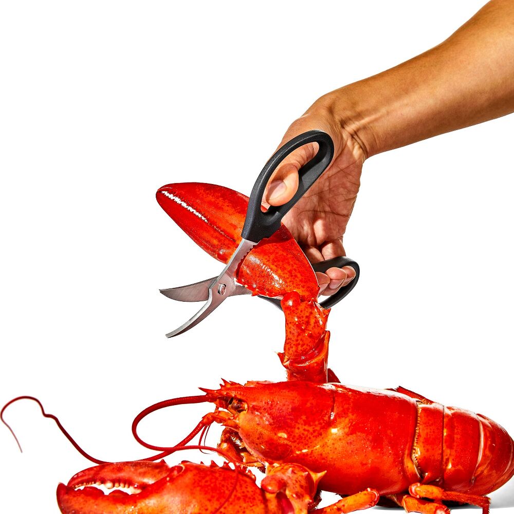 Seafood Scissors N0