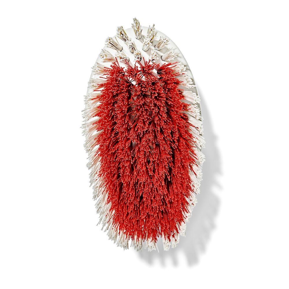 All-Purpose Scrub Brush 2-Pack U5