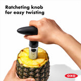 Stainless Steel Pineapple Slicer X5