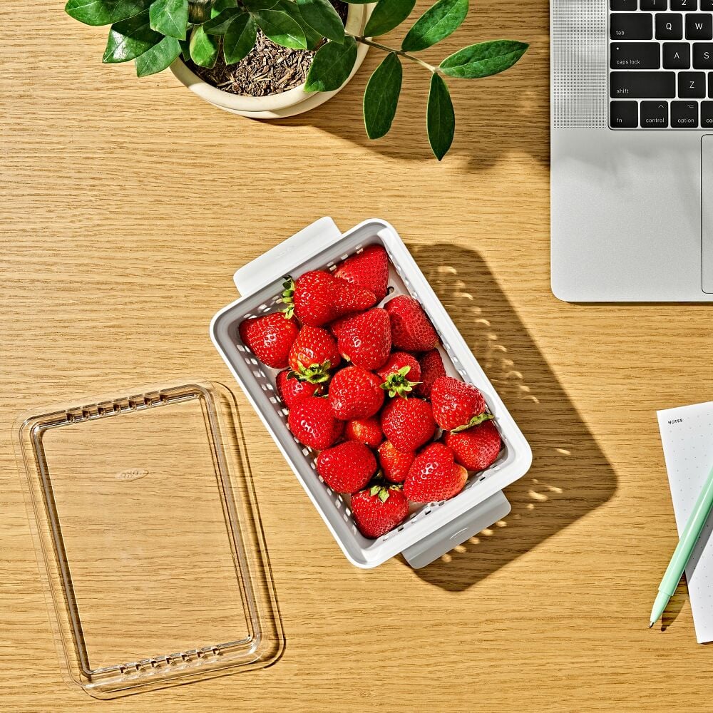 Produce Saver - Berry Keeper 2-Piece Set T6