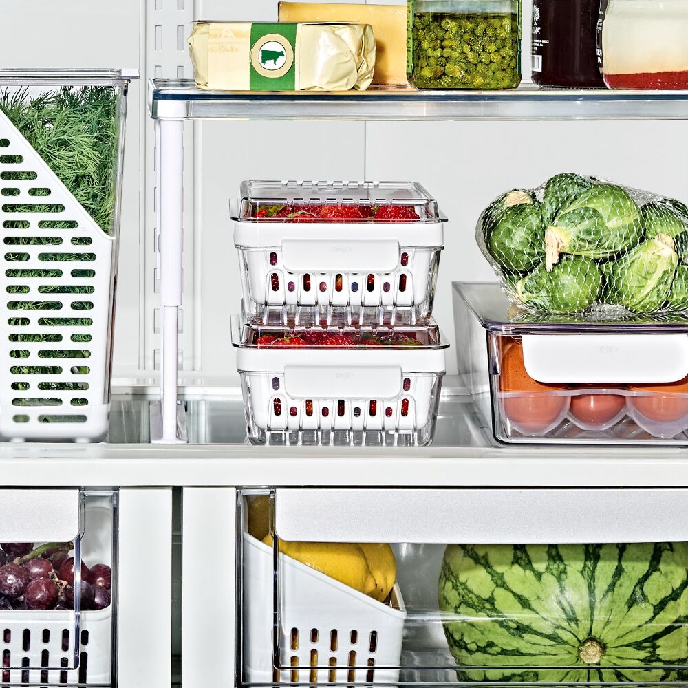 Produce Saver - Berry Keeper 2-Piece Set T6