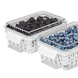 Produce Saver - Berry Keeper 2-Piece Set T6