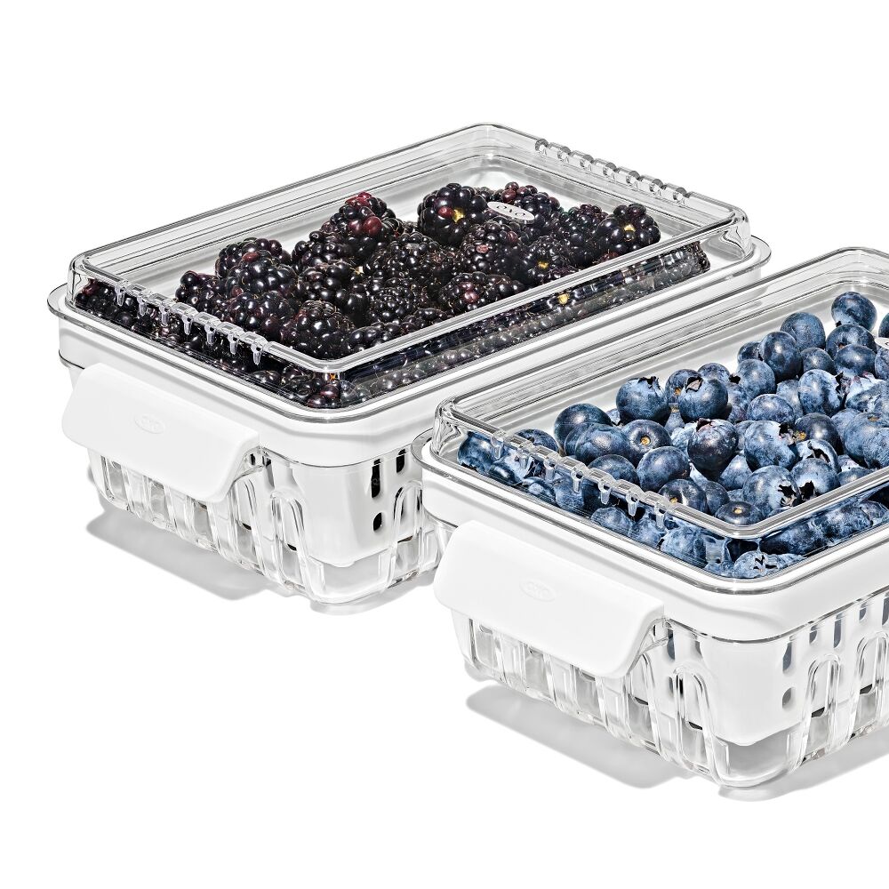 Produce Saver - Berry Keeper 2-Piece Set T6