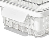 Produce Saver - Berry Keeper 2-Piece Set T6