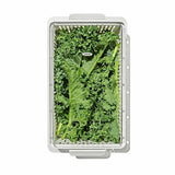 Produce Saver - Medium Bin K6
