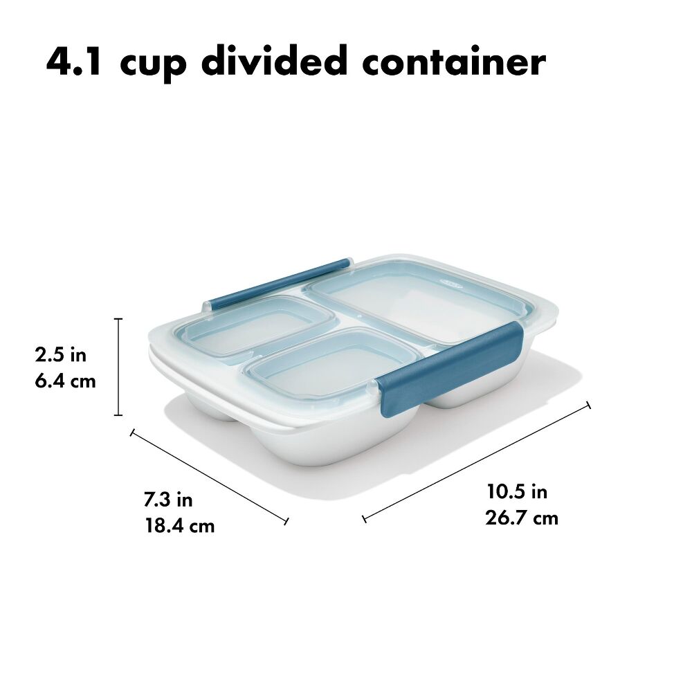 Prep & Go 4.1-Cup Divided Container - Ocean Blue C6