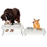 OXO Pet Adjustable Elevated Feeder N9