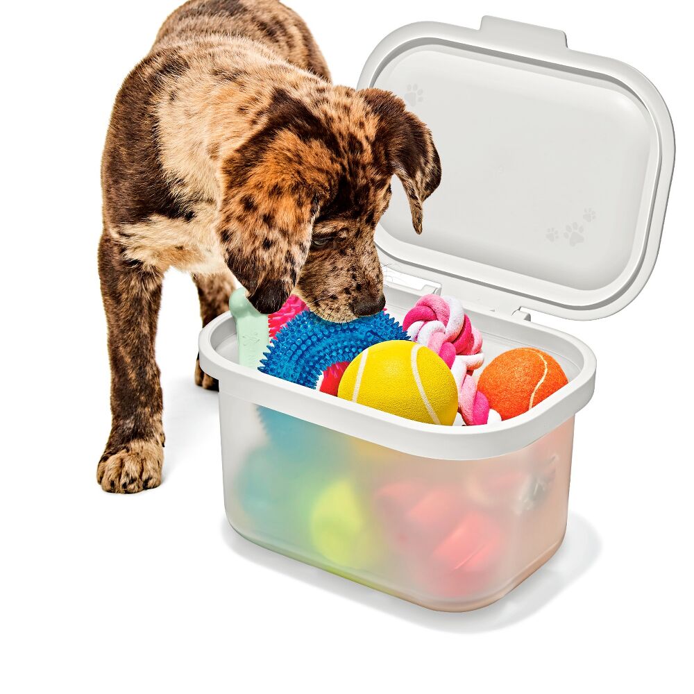 OXO Pet Multi-Purpose Container D9