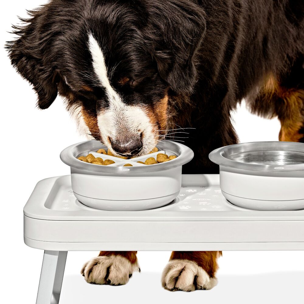OXO Pet Easy-Clean Slow Feeder - Large, 4 Cups/950 ml P5