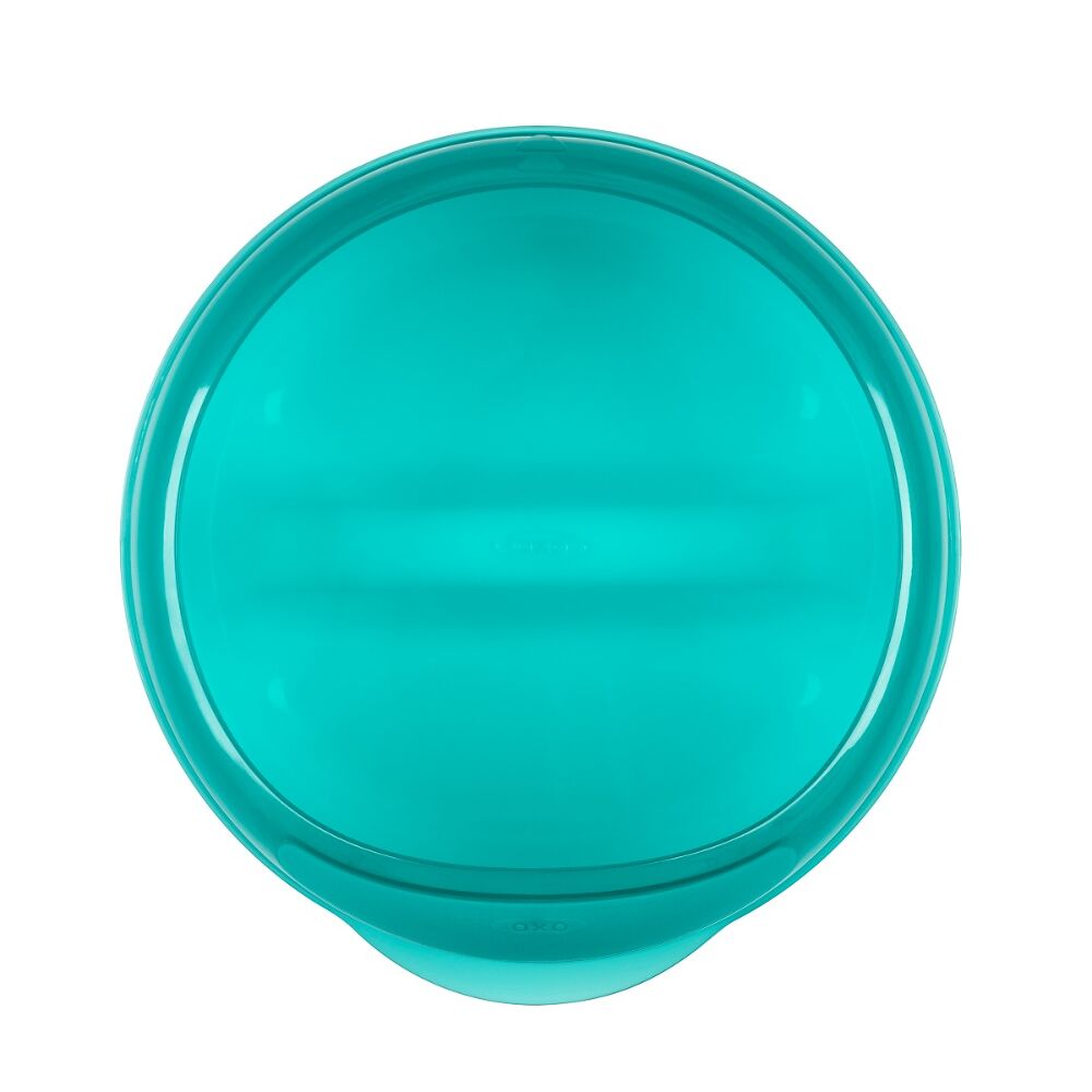 Divided Feeding Dish with Removable Ring G5